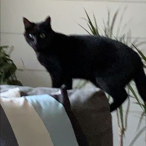 Meet your Posher, Charmaine